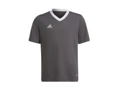 adidas - Entrada 22 Jersey Youth - Graues Fußballtrikot