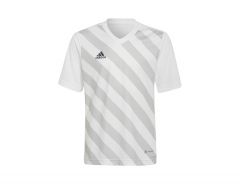 adidas - Entrada 22 GFX Jersey Youth - Gestreiftes Trikot