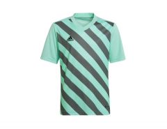 adidas - Entrada 22 GFX Jersey Youth - Kindertrikot