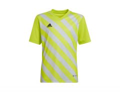 adidas - Entrada 22 GFX Jersey Youth - Grünes Fußballtrikot