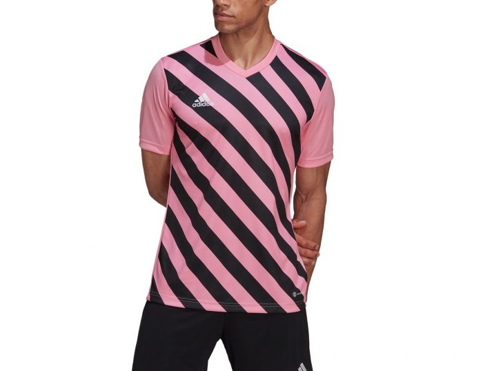 adidas Entrada 22 GFX Jersey Roze Voetbalshirt