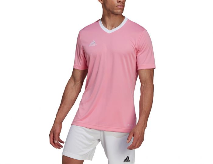 adidas Entrada 22 Jersey Roze voetbalshirt