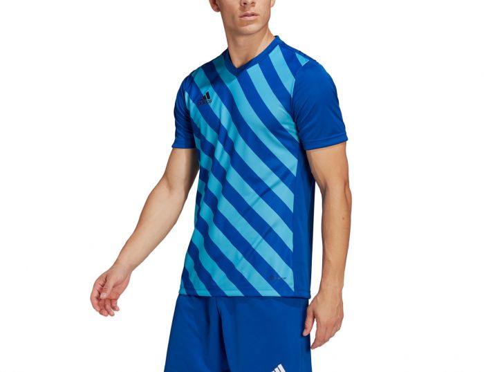 adidas Entrada 22 GFX Jersey Blauw Voetbalshirt